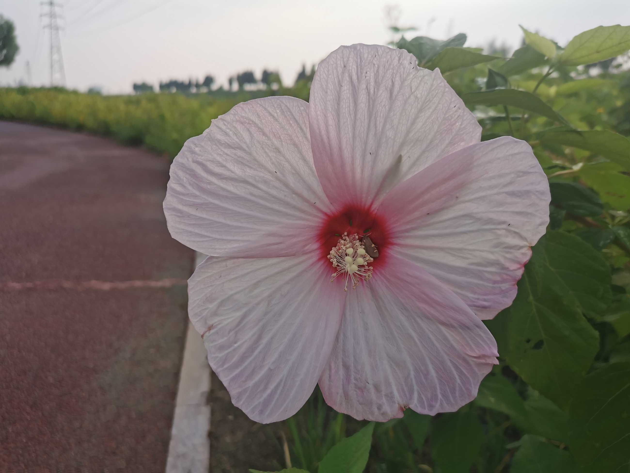 清晨