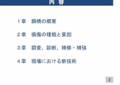鋼構造物の点検・診断技術の 方法と留意点