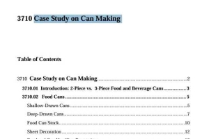 Case Study on Can Making