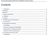 The role of gas storage and other forms of flexibility in security of supply