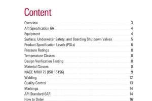 An overview of API Specification 6A 21st Edition  Released January 2020