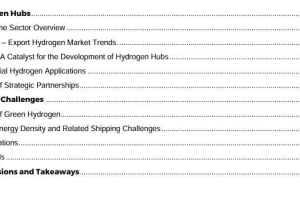 WSP Hydrogen in Maritime ：Opportunities and Challenges