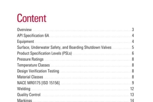 Introduction to API Specification 6A