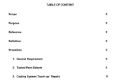PAINTING REPAIR PROCEDURE (PROJECT STANDARDS AND SPECIFICATIONS)