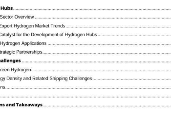 WSP Hydrogen in Maritime ：Opportunities and Challenges