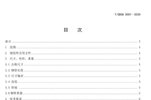 TCDSA 0001-2025 海上起重船臂架高强度焊接钢管