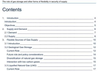 The role of gas storage and other forms of flexibility in security of supply