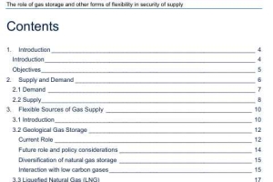 The role of gas storage and other forms of flexibility in security of supply