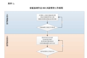 GDSY-HSE-BZ-07-2023 中化石油广东有限公司盲板抽堵作业HSE风险管控标准
