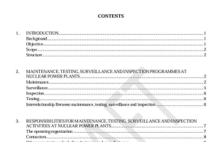 Maintenance, Testing, Surveillance and Inspection in Nuclear Power Plants